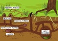 Scheme of structure of underground mole tunnels with earthworms and European mole Talpa europaea.